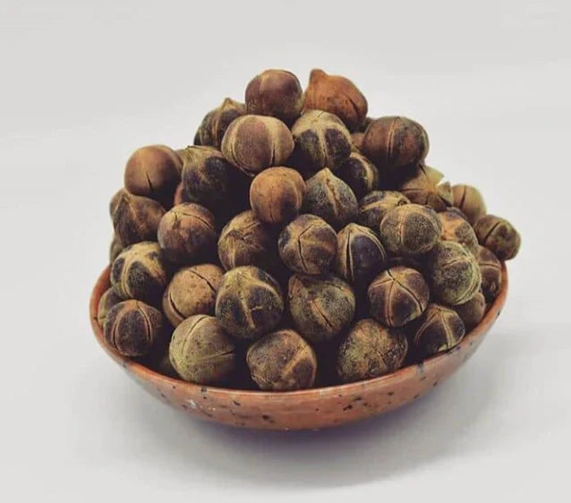 GORONTULA ATASSA : 100% FOYER ÉPANOUI