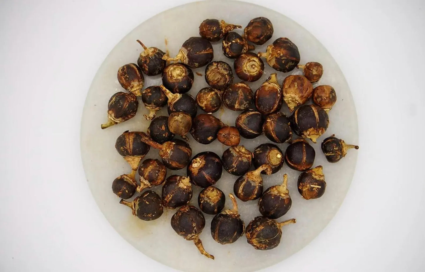 GORONTULA ATASSA : 100% FOYER ÉPANOUI